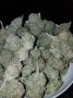 profilové foto buy marijuana weed online