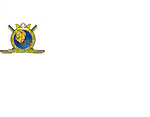 velké logo klubu HbC LIONS Teplice