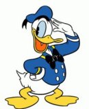 velké logo klubu Blue ducks