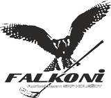 velké logo klubu SKP Falkoni Holešov