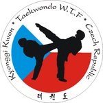 velké logo klubu Centrum korejských bojových umění-VYSOČINA