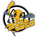 velké logo klubu Azyl Vosy Liberec