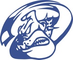 velké logo klubu HBC SIAD Bulldogs Bílina