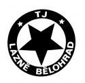 velké logo klubu FKM Javorka
