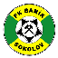 logo klubu FK BANÍK SOKOLOV-2006