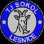 logo klubu TJ Sokol Lesnice