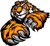 velké logo klubu HC Tigers Pardubice