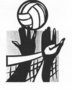 logo klubu Volleyball - Studio Salute