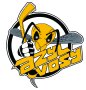 logo klubu Azyl Vosy Liberec
