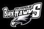 logo klubu Prague Black Hawks