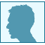 profilové foto tetris game