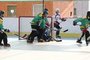 fotogalerie In-line hokej 2008