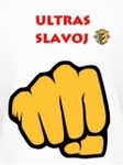 velké logo klubu TJ Slavoj Velké Pavlovice Dorost