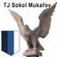 logo klubu TJ Sokol Mukařov