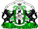 velké logo klubu FC VLCI VLČICE