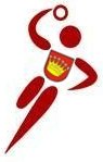velké logo klubu TJ Handball Valašské Meziříčí