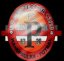 logo klubu Protector 1320 FC