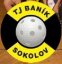 logo klubu FLORBAL Sokolov-ml.žáci