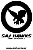 velké logo klubu Hawks