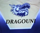 velké logo klubu HC DRAGOUNI