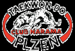 velké logo klubu Taekwondo ITF Plzeň