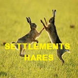 velké logo klubu Settlements Hares