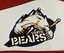 logo klubu White Bears