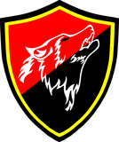 velké logo klubu Led Staya Volkov - L.S.V