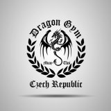 velké logo klubu Dragon Fighters Club - Náchod