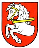 velké logo klubu Hokej Pardubice