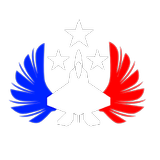 velké logo klubu Czech Forces Delta