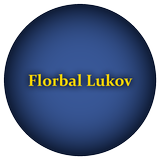 velké logo klubu Florbal Lukov