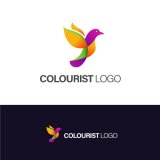 velké logo klubu colourist logo