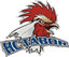 logo klubu HC Tábor