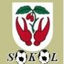 logo klubu TJ SOKOL Dřínov
