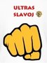 logo klubu TJ Slavoj Velké Pavlovice Dorost