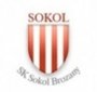 logo klubu SK Sokol Brozany B