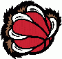 logo klubu BasketOLO