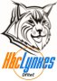logo klubu HBC Lynxes Dříteč