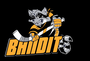 logo klubu Bandits