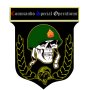 logo klubu Commando.Special.Operation