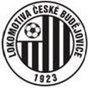 logo klubu Tj Lokomotiva Č.B-Starší žáci A 2008/2009