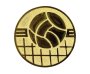 logo klubu NK Jiskra Domažlice nohejbal